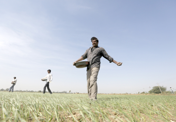 India issues tender to buy urea amid supply disruptions